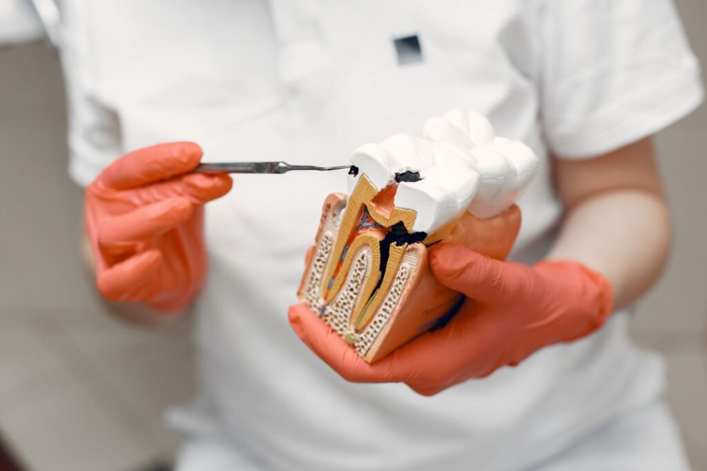 Tooth model and dental instrument showing how a cavity spreads through a tooth